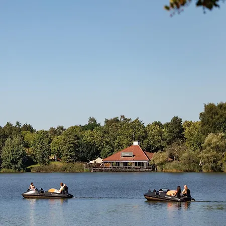 Restyled With Sauna, Near A Nature Reserve Weert